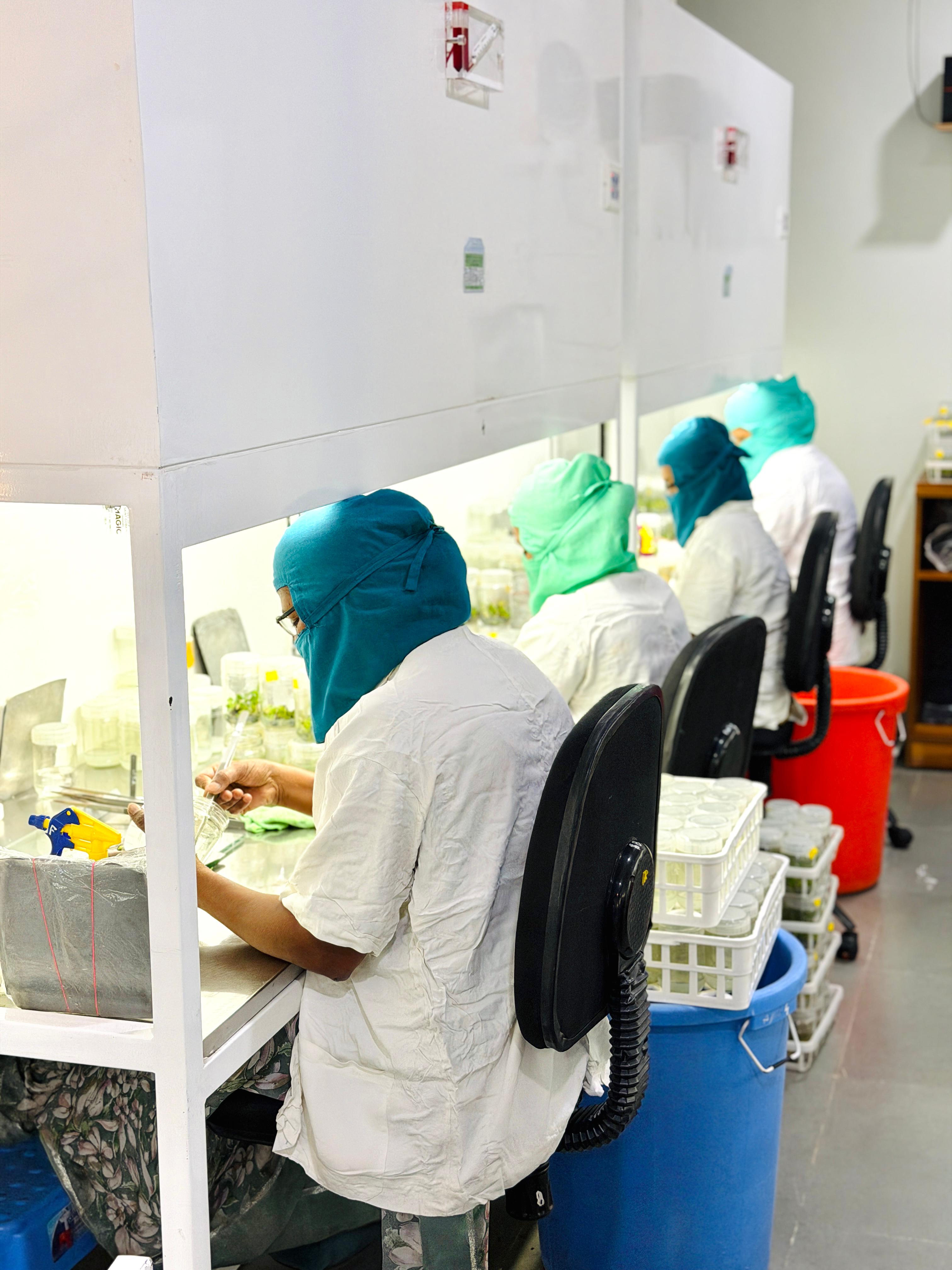 PlantGen tissueculture laboratory and equipment